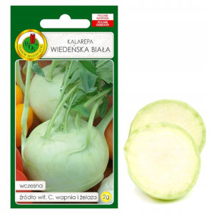 Kalarepa Wiedeńska Biała Wczesna Nasiona Bez Gmo
