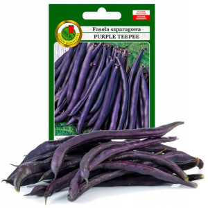 Fasola Szparag Fioletowa Purple Teepee 30g Bez Gmo