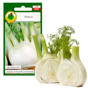 Fenkuł Romanesco Koper Włoski 1g Późny Bez Gmo