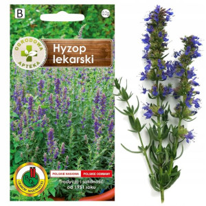Hyzop Lekarski Zioła Nasiona Ziół Bez Gmo