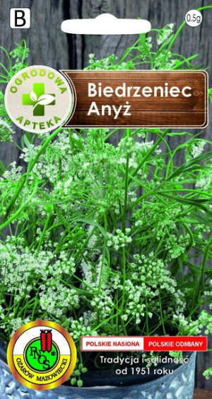 Anyż Biedrzeniec Zioło Nasiona Ziół Bez Gmo