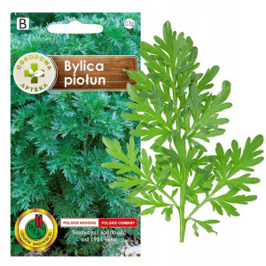 Bylica Piołun Na Trawienie Nasiona Ziół Bez Gmo