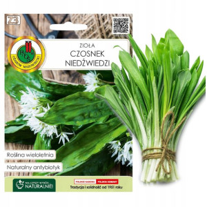 Czosnek Niedźwiedzi Zioła Nasiona Ziół Bez Gmo