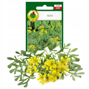 Ruta Piżmowy Aromat Zioła Nasiona Ziół Bez Gmo