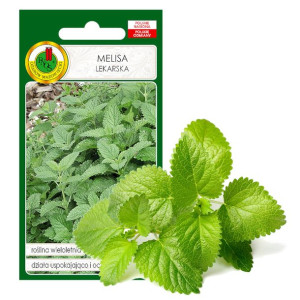 Melisa Lekarska Uspokaja Nasiona Ziół Bez Gmo