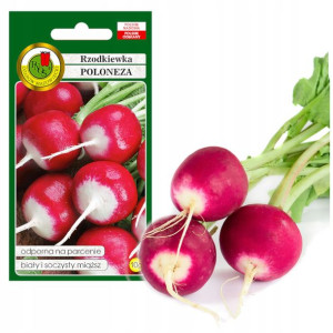 Rzodkiewka Poloneza Soczysta 10g Nasiona Bez Gmo