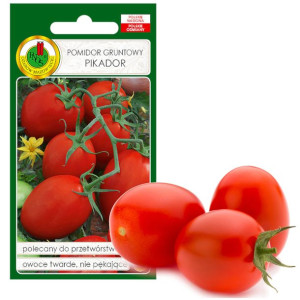 Pomidor Pikador Twardy Na Ketchup Nasiona Bez Gmo