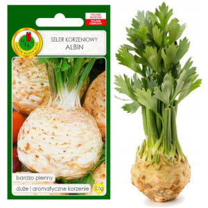 Seler Korzeniowy Albin 0,5g Plenny Nasiona Bez Gmo