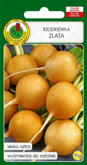 Rzodkiewka Zlata Żółta Lekko Ostra 10g Bez Gmo