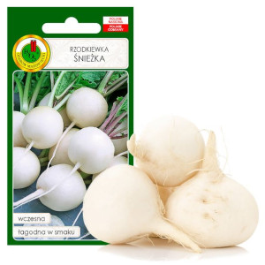 Rzodkiewka Śnieżka Wczesna 10g Nasiona Bez Gmo