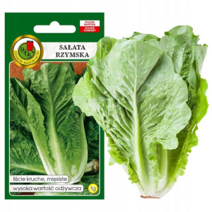 Sałata Rzymska Lentissima 1g Nasiona Bez Gmo