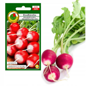 Rzodkiewka Krakowianka Wczesna 10g Nasiona Bez Gmo