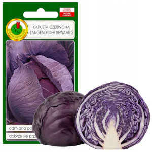Kapusta Głowiasta Czerwona Langedijker 2g Bez Gmo