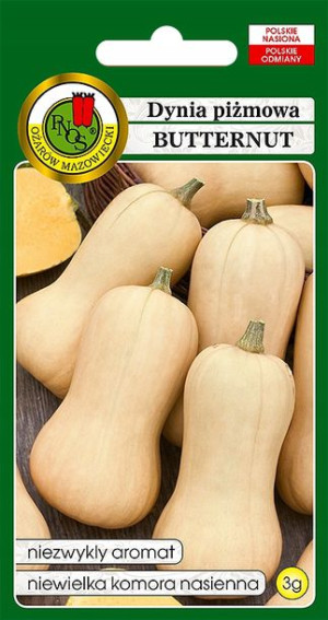 Dynia Piżmowa Butternut Aromat Nasiona Bez Gmo 3g