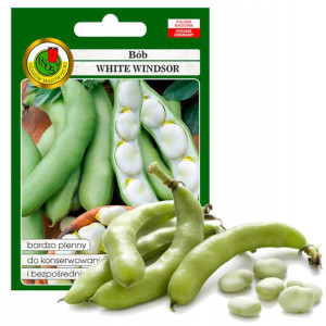 Bób White Windsor Wczesny Nasiona Bez Gmo 50g