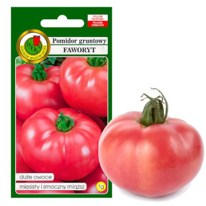 Pomidor Faworyt Owoc Xxl Mięsisty Nasiona Bez Gmo