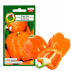 Papryka Etiuda Owoc Xxl Nasiona Bez Gmo 0,5g