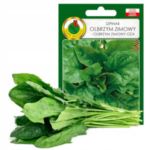Szpinak Olbrzym Zimowy Nasiona Bez Gmo