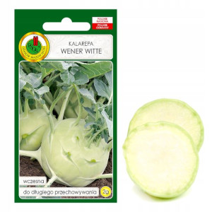 Kalarepa Wener Witte Wczesna Nasiona Bez Gmo
