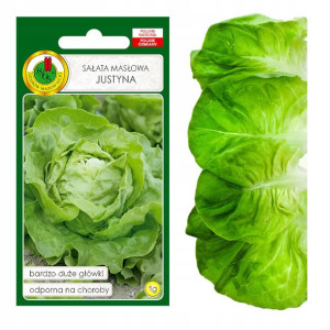Sałata Masłowa Justyna Odporna Nasiona Bez Gmo