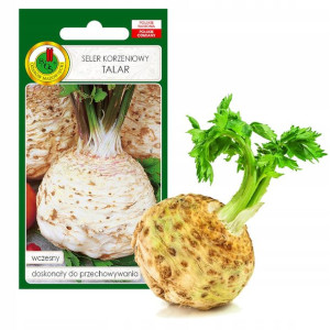 Seler Korzeniowy Talar Wczesny Nasiona Bez Gmo