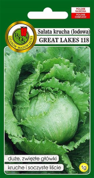 Sałata Lodowa Głowiasta Krucha Nasiona Bez Gmo