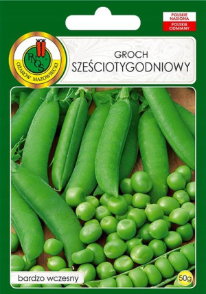 Groch Łuskowy Sześciotygodniowy Nasiona Bez Gmo