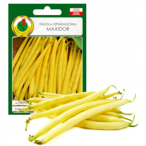 Fasola Szparagowa Karłowa Maxidor Nasiona Bez Gmo