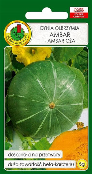Dynia Ambar Olbrzymia Pomarańczowa Nasiona Bez Gmo