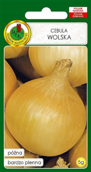 Cebula Wolska Późna Plenna Nasiona Bez Gmo