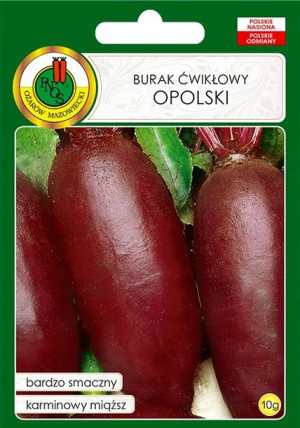 Burak Ćwikłowy Opolski Podłużny Nasiona Bez Gmo