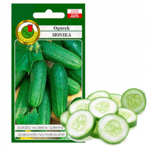 Ogórek Pod Osłony Wczesny Monika Nasiona Bez Gmo