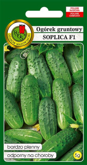 Ogórek Gruntowy Soplica Odporny Nasiona Bez Gmo