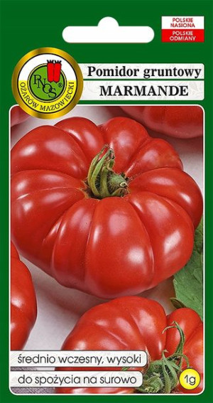 Pomidor Marmande Wysoki Słodki Nasiona Bez Gmo