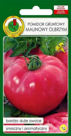 Pomidor Malinowy Duży Smaczny Nasiona Bez Gmo