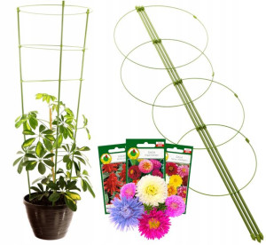 Podpora Pierścieniowa Do Roślin Pierścienie 75 Cm