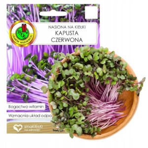 Kapusta Czerwona Nasiona Na Kiełki Bez Gmo 8g