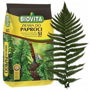 Ziemia Podłoże Do Paproci Domowej Paprotek 5l