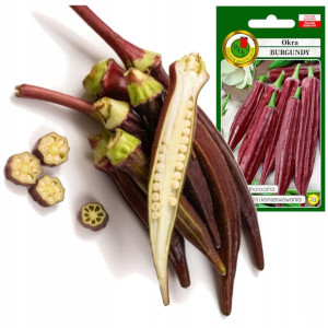 OKRA jadalna Burgundy Ketmia owoc do 30cm