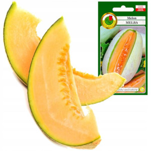 MELON MELBA słodki smaczny masa do 0,7kg