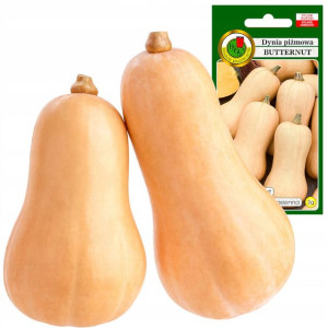 Dynia Piżmowa Butternut późna smak aromat na dżem