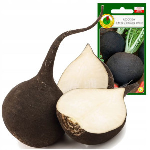 Rzodkiew Runder Schwarzer Winter soczysta 5g