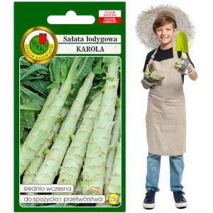 Sałata Łodygowa Karola do spożycia i przetwórstwa