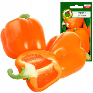 Papryka ETIUDA plenna owoc XXL soczysta pomarańcz
