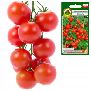 Pomidor BAJAJA wczesny doniczkowy do 750g owoców