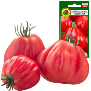 Pomidor gruntowy Red Pear idealny na przetwory