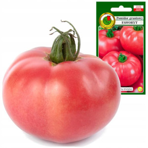 Pomidor FAWORYT mięsisty soczysty owoc do 0,5kg