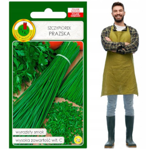 Szczypiorek PRAZSKA dużo wit C bogaty smak