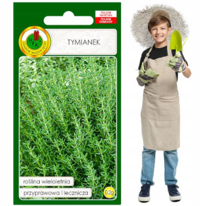 TYMIANEK przyprawa wieloletnia wł lecznicze olejek
