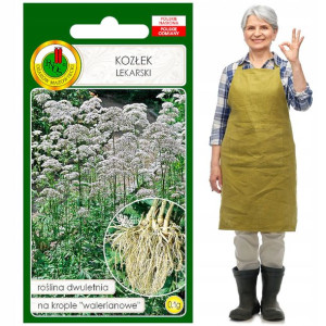 Kozłek lekarski na krople walerianowe 0,1g